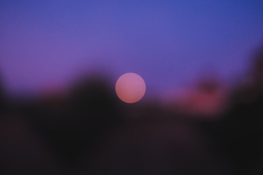 小芦笋长成致富大产业