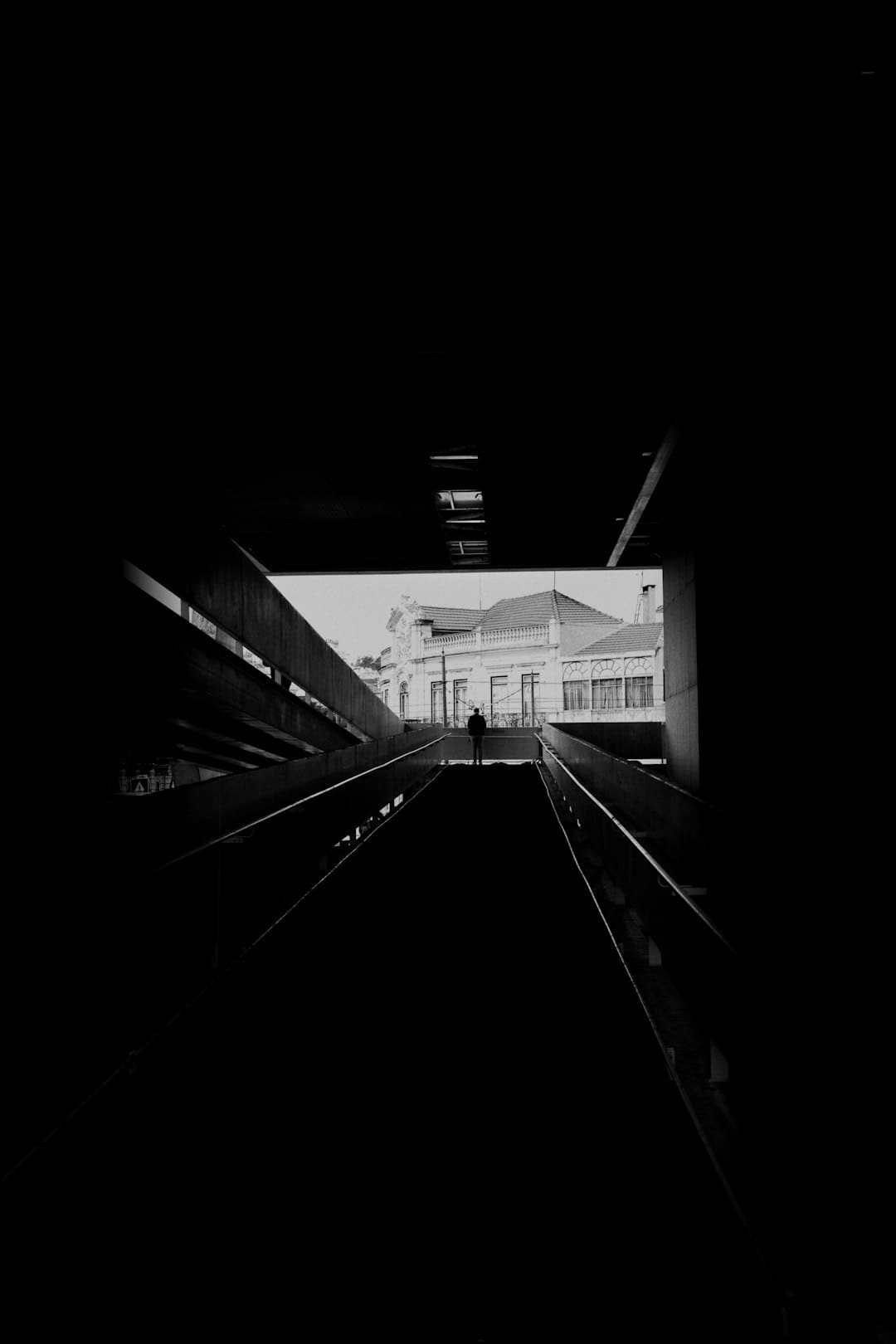 新同学,与“智能原生”同行